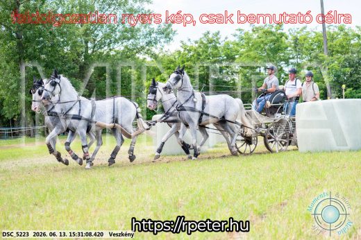 Mintakép 20260613-1558
