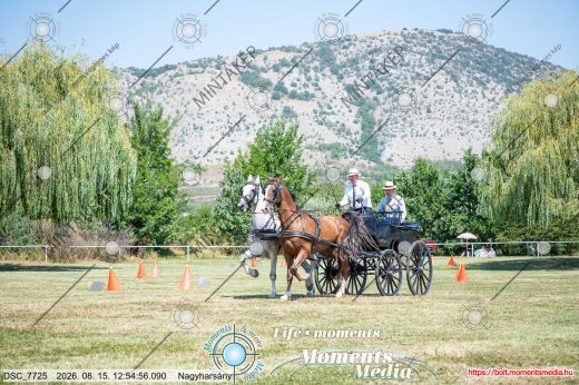 Mintakép 20260815-1215