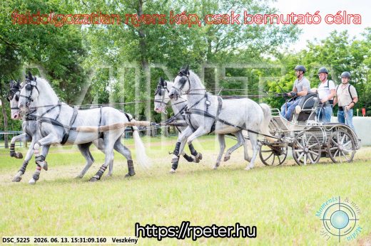 Mintakép 20260613-1560