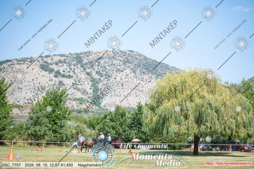 Mintakép 20260815-1229