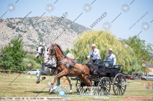 Mintakép 20260815-1234