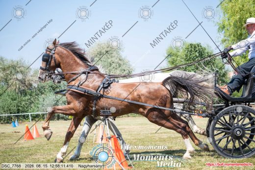Mintakép 20260815-1237