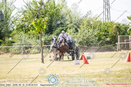 Mintakép 20260815-1242