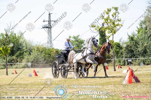 Mintakép 20260815-1243