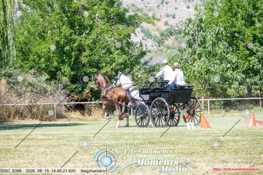 Mintakép 20260815-1250