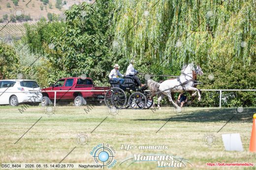 Mintakép 20260815-1251