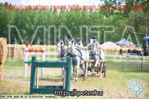 Mintakép 20260613-1563