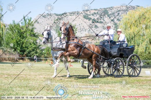 Mintakép 20260815-1256