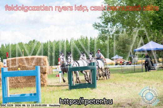 Mintakép 20260613-1564
