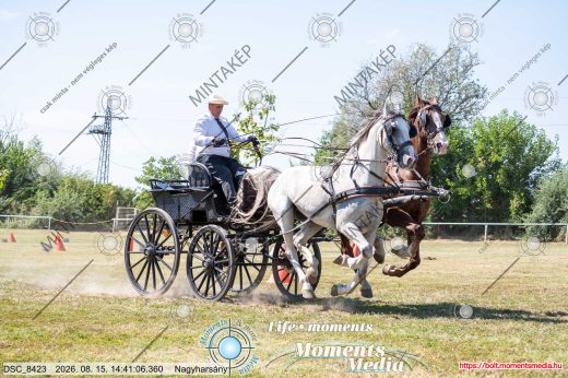 Mintakép 20260815-1264