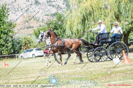 Mintakép 20260815-1267