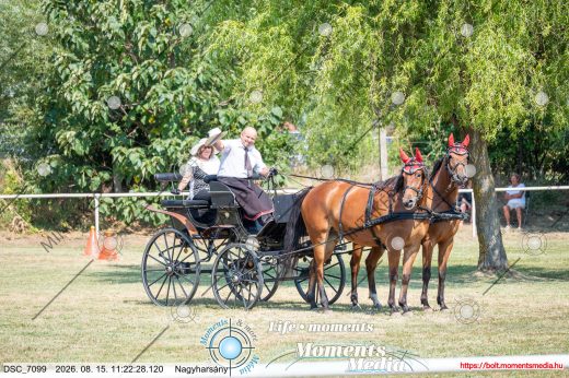 20260815-112228-DSC_7099.jpg