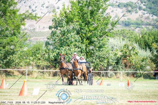 20260815-112331-DSC_7103.jpg