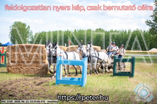 Mintakép 20260613-1565