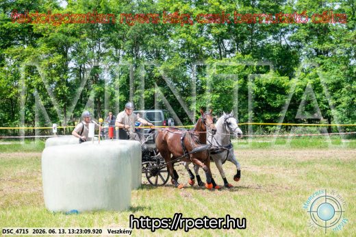 Mintakép 20260613-126