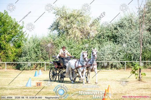 20260815-095404-DSC_6564.jpg