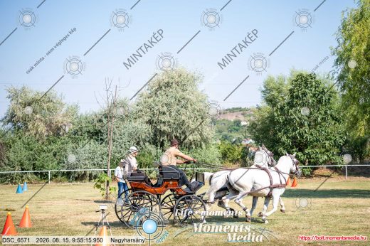 Mintakép 20260815-1307