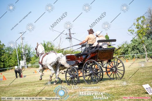 Mintakép 20260815-1313