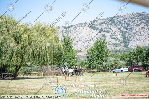 Mintakép 20260815-1327