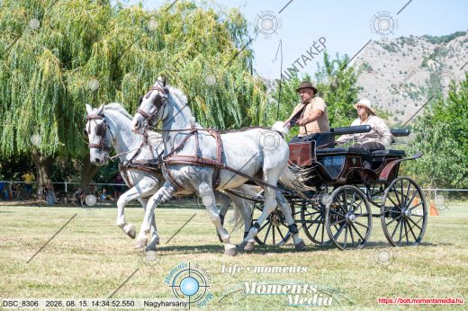 Mintakép 20260815-1333