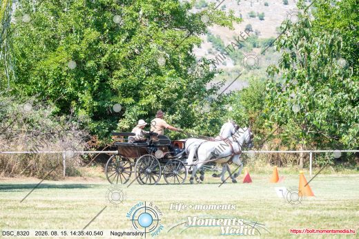 Mintakép 20260815-1341