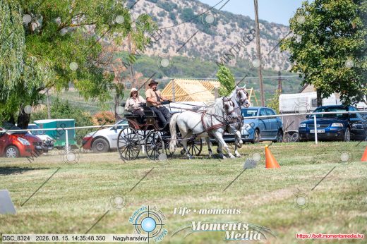 Mintakép 20260815-1343