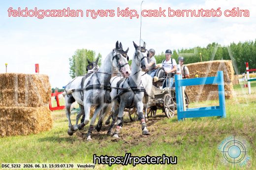 Mintakép 20260613-1573