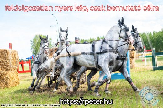 Mintakép 20260613-1575