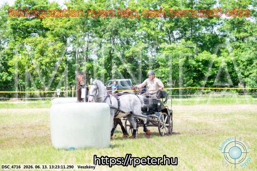 Mintakép 20260613-127