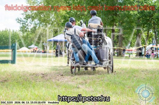 Mintakép 20260613-1577