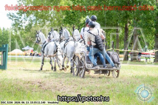 Mintakép 20260613-1578