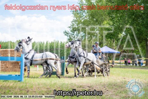 Mintakép 20260613-1585
