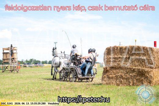 Mintakép 20260613-1586