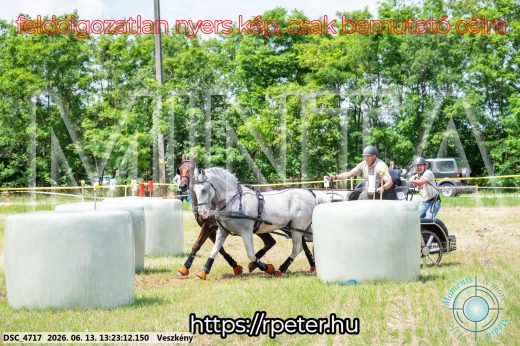 Mintakép 20260613-128