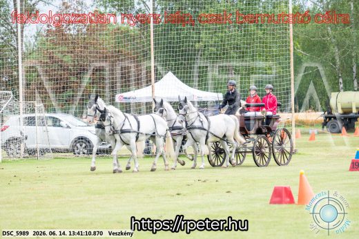 Mintakép 20260614-724