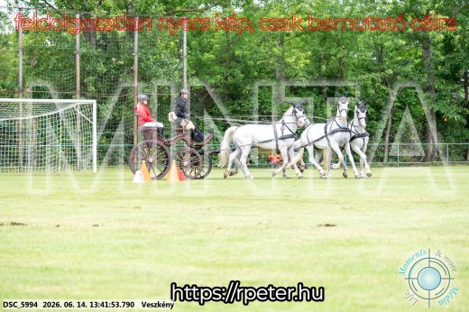 Mintakép 20260614-732