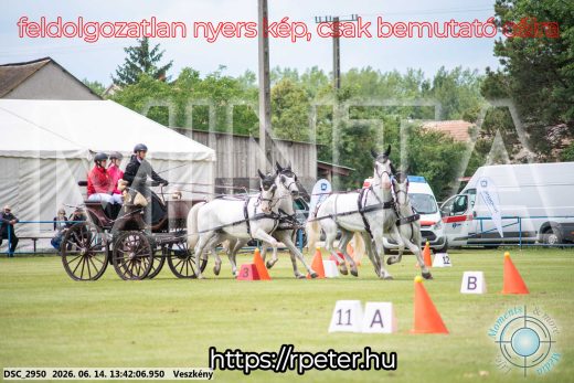 Mintakép 20260614-733