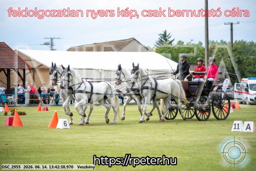 Mintakép 20260614-735