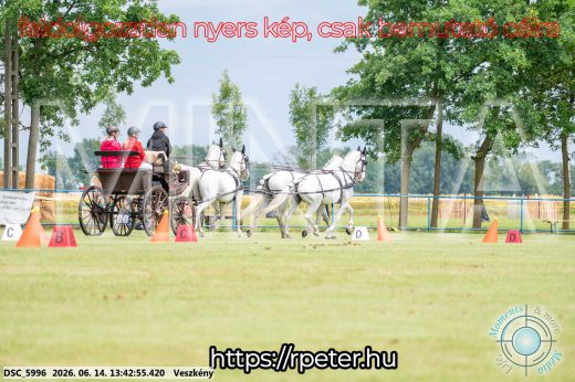 Mintakép 20260614-739
