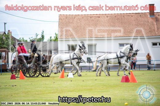 Mintakép 20260614-741