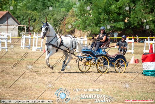 Mintakép 20260809-485
