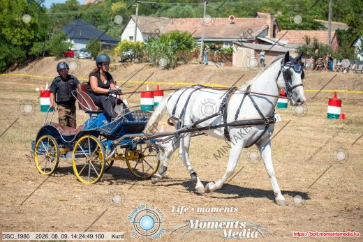 Mintakép 20260809-499