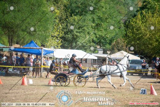 Mintakép 20260809-502