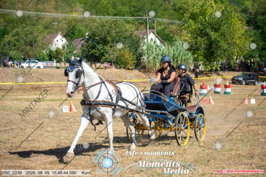 Mintakép 20260809-509