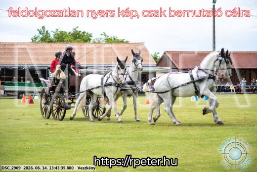 Mintakép 20260614-744