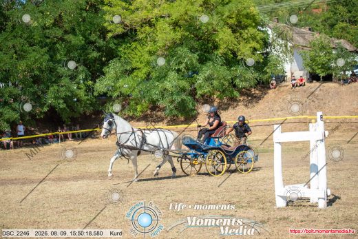Mintakép 20260809-512