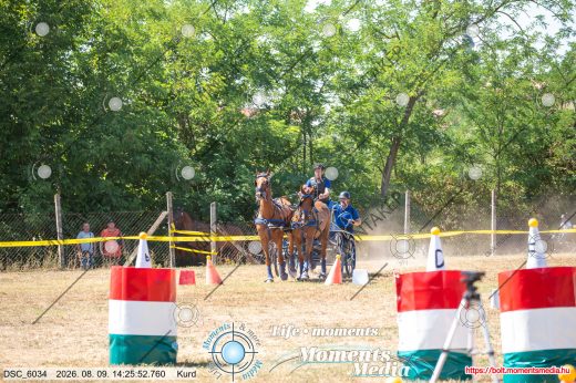 20260809-142552-DSC_6034.jpg