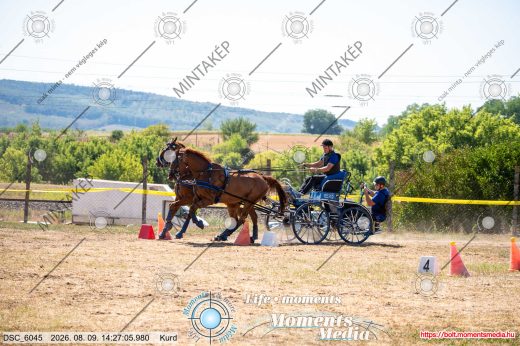 Mintakép 20260809-534