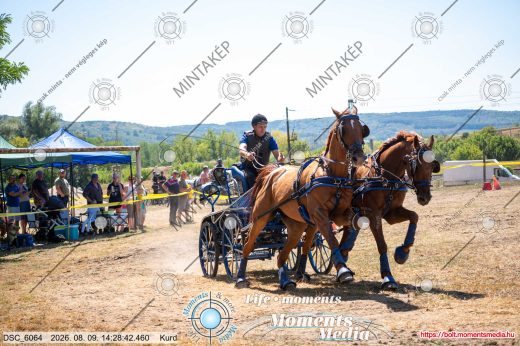 Mintakép 20260809-549