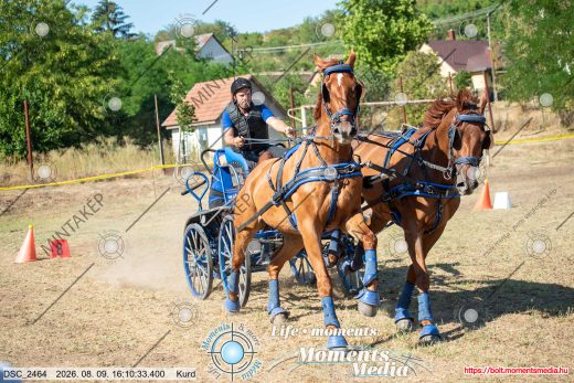 Mintakép 20260809-557